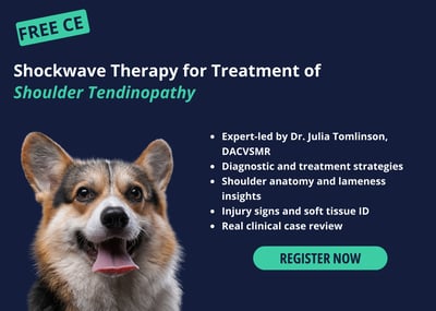 Vital Vet Ad #2 Final (4)