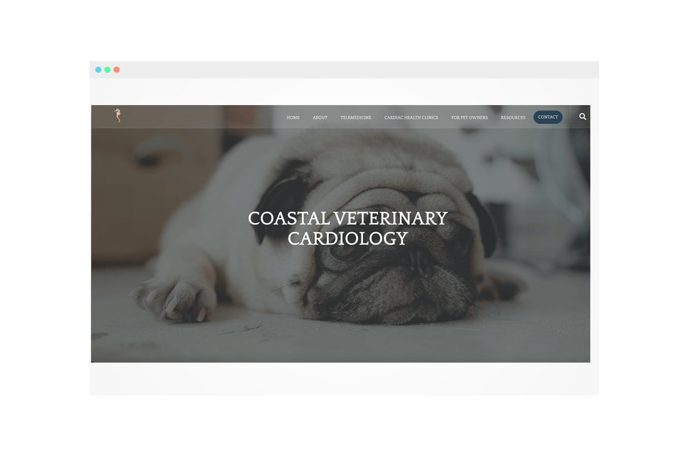 mediamodifier_image (46)